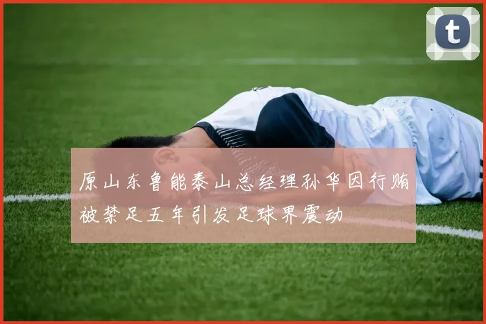 原山东鲁能泰山总经理孙华因行贿被禁足五年引发足球界震动