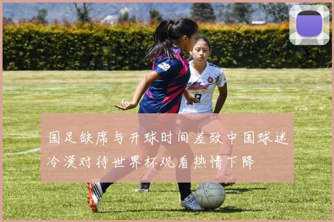 国足缺席与开球时间差致中国球迷冷漠对待世界杯观看热情下降